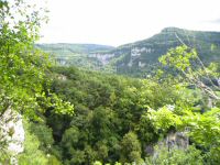 IMG_8568.jpg